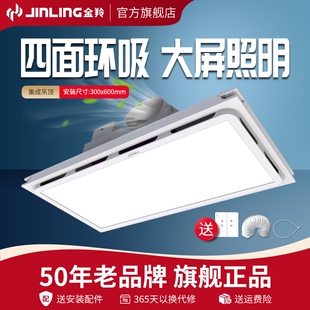 金羚天花排气扇卫生间室内空气循气机环换气扇灯2合一30X60新风换