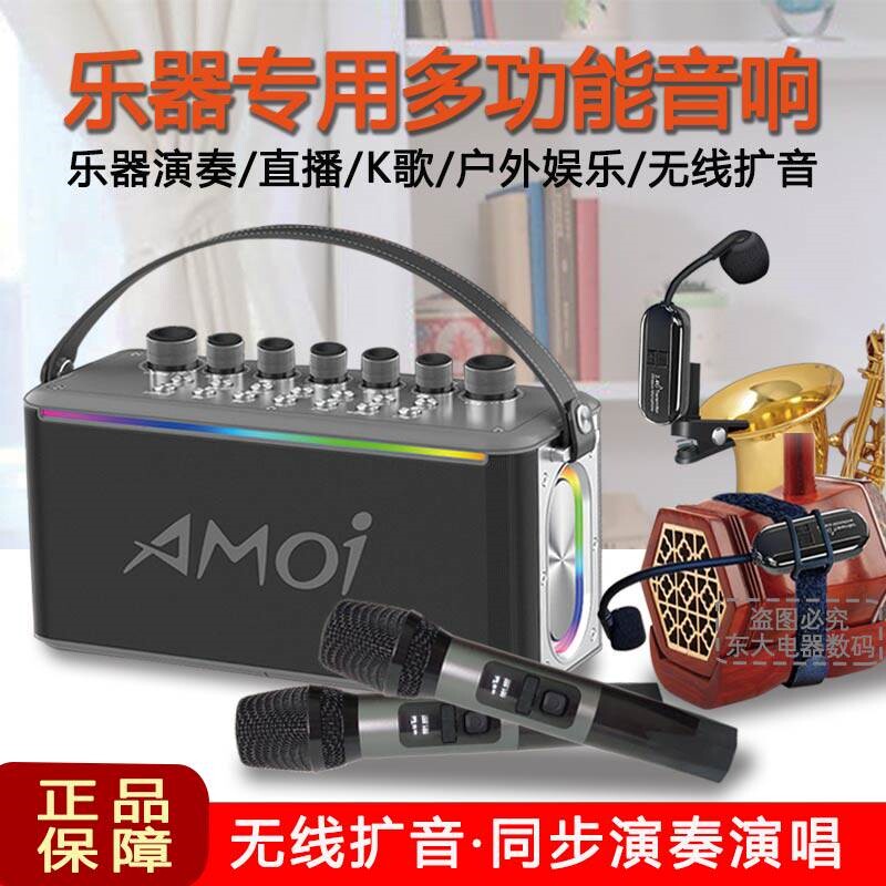 夏新音响乐器专用户外直播K歌无音器线话筒麦克风二胡演奏拾音扩
