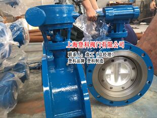 DN250双法兰蝶阀 硬密封手动大口径铸钢法兰蝶阀 25c DS343H
