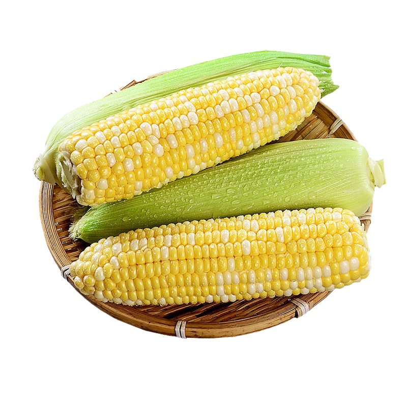 云南水果玉米2斤装 150g+