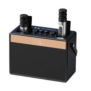 新款网红直播手提便携式户外K歌音响60W大功率USB无线麦克风