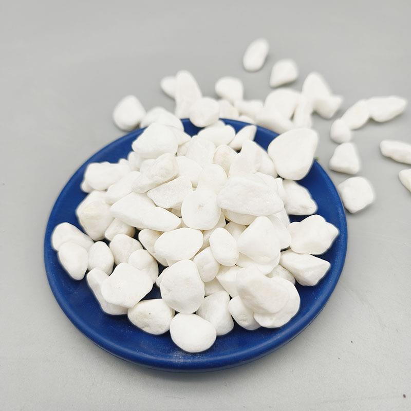 供应白色石子白鹅卵石庭院景观铺路打磨白色小石子量大从优