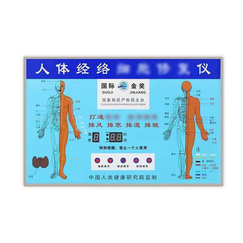 ddsDDS按摩器生物电按摩平衡仪人体仪器配件