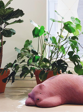 瑞士进口正版 Vitra 小熊凳休闲凳 Resting Bear 儿童家具