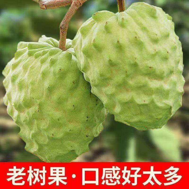 新鲜牛奶释迦果凤梨释迦果特大新鲜佛头果当季热带水果