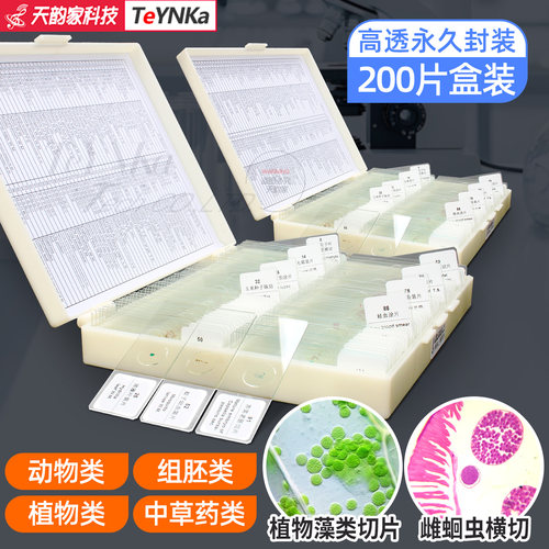 200片生物显微镜标本载切片玻片细菌观察细菌胞涂装片高校教学生