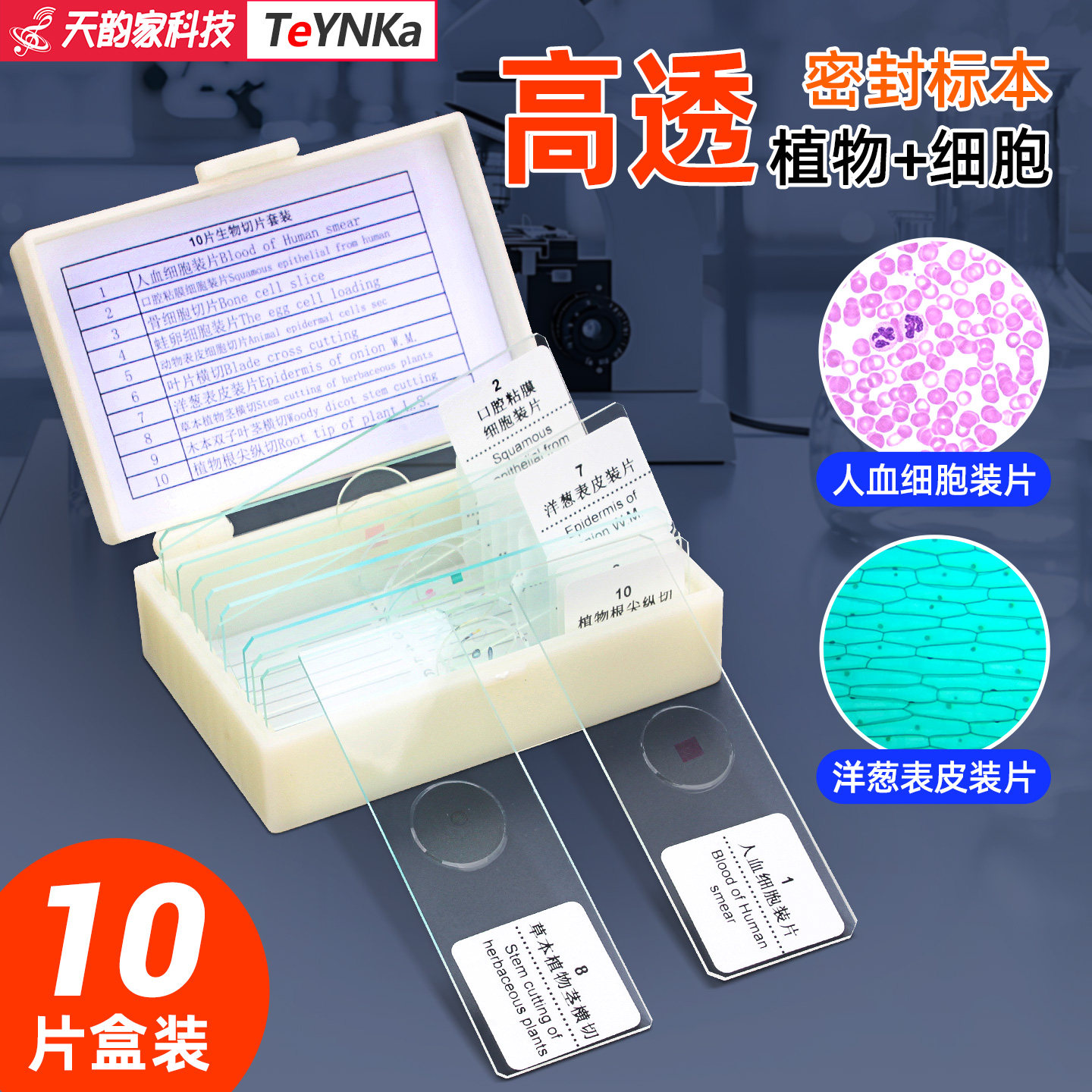 10片装生物显微镜标本载切片玻片细菌观察细菌胞涂装片儿童教学生