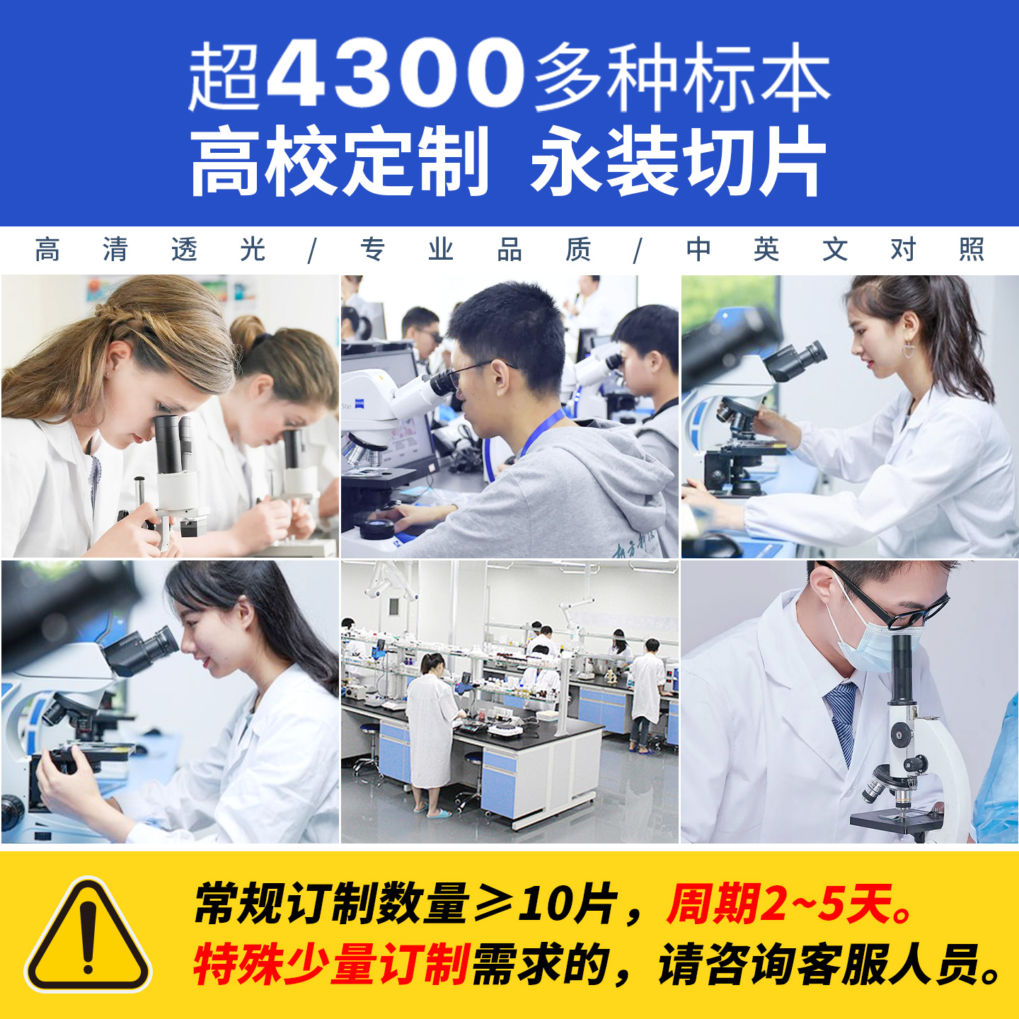 <定制标本片>高校教研+中学实验