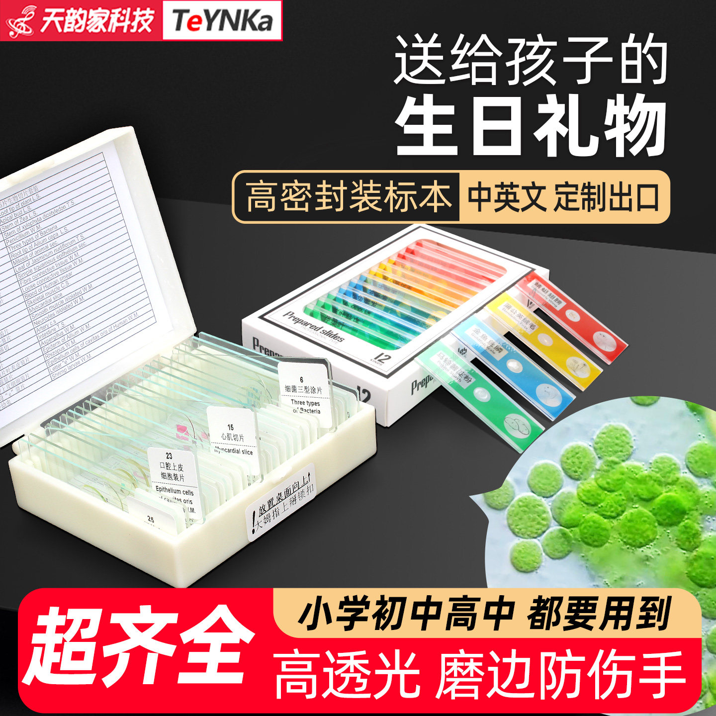 12片装生物显微镜标本载切片玻片细菌观察细菌胞涂装片儿童教学生