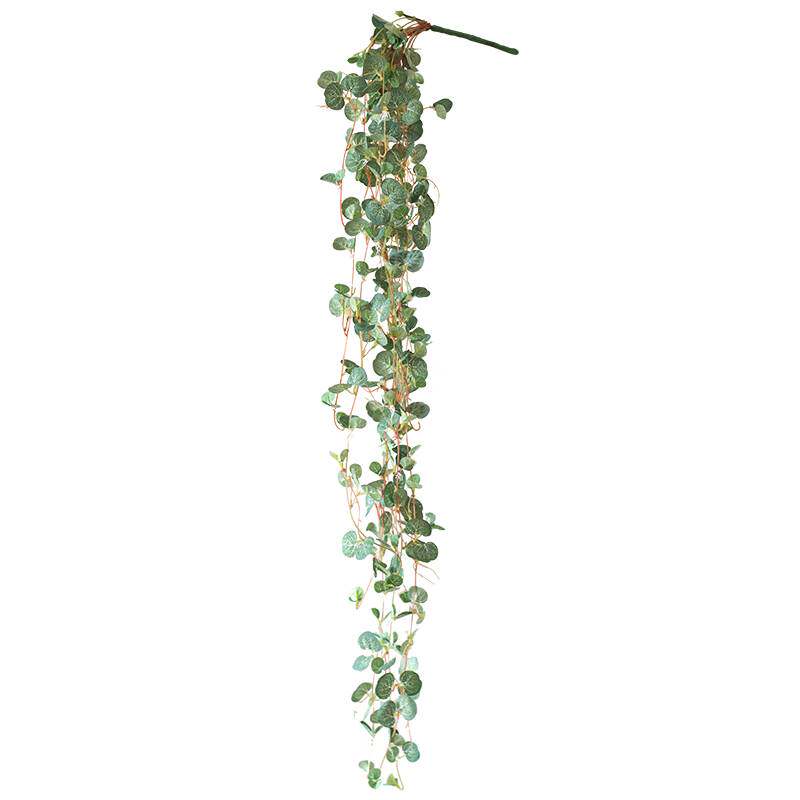 掬涵锦蔓海棠装饰吊兰挂墙绿植仿真吊篮垂吊藤壁挂植物悬挂常春藤