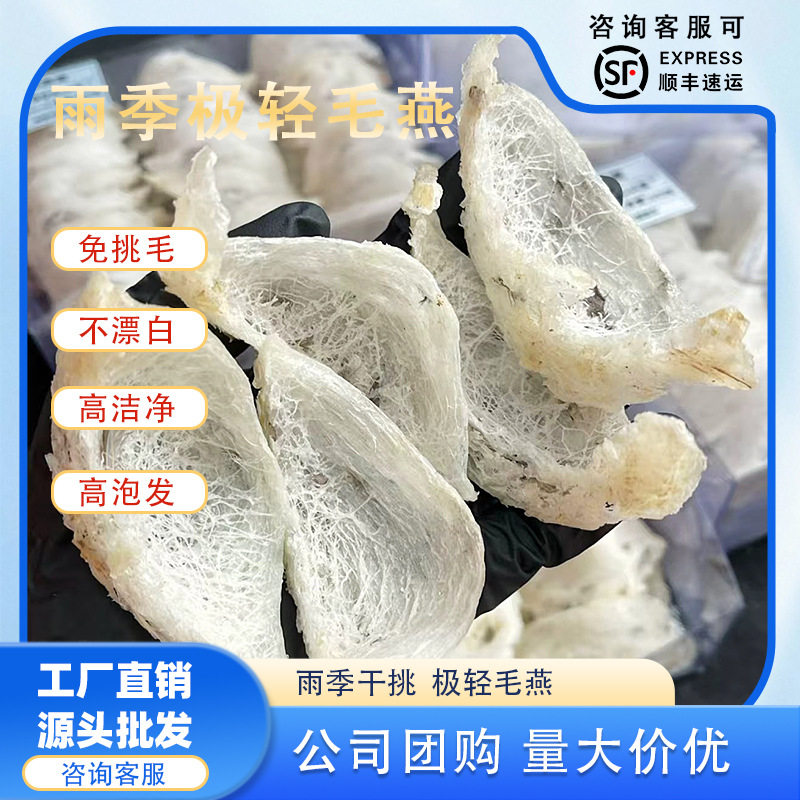 雨季头期干燕窝极轻毛燕干挑大盏孕妇滋补6A燕盏精选工厂货源