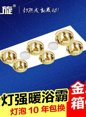 灯暖浴霸灯卫生间浴室取暖灯洗澡