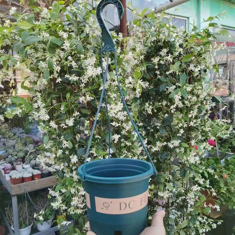 加仑吊盆花盆悬挂式圆形塑料印花吊盆绿萝花盆家用吊兰花盆垂吊