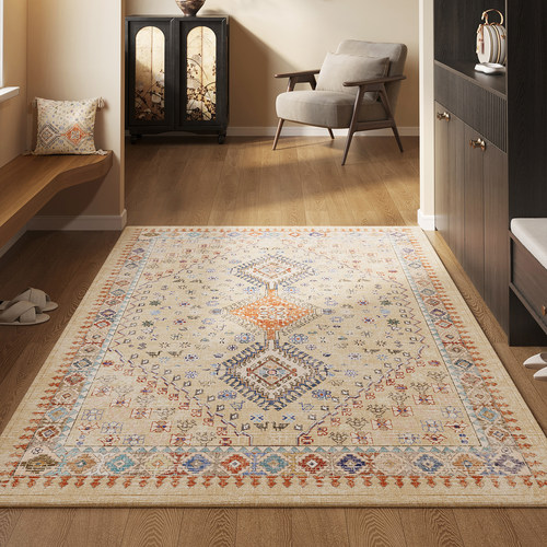 防滑脚垫玄关大门口家用地毯