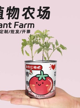 网红罐装种植小盆栽面罐头幸运草向日葵小花农绿企业学校礼物定制