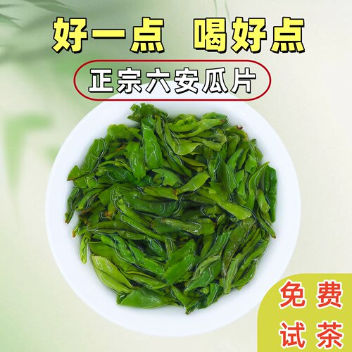 正宗六安瓜片金寨产地春茶安徽茶