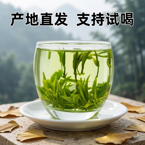 2026新茶安徽霍山黄芽散装好口感