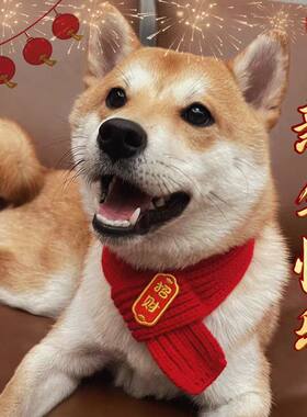 宠物猫咪狗狗可爱卡通中大型犬