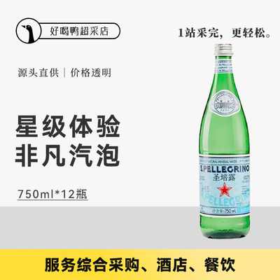 S.Pellegrino圣培露天然矿泉水气泡水意大利进口水750ml*12瓶整箱