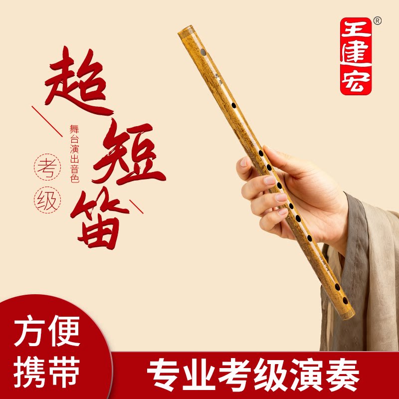 王建宏短笛演奏级古风高颜值素笛子新型迷你便携竹笛风雅宫乐器