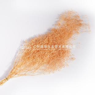 干花花材百万星小满天星拍摄道具小清新装饰花束