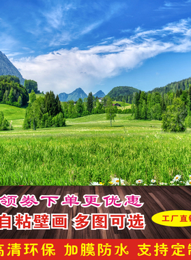 电视机背景墙客厅装饰画卧室壁画沙发背景墙自粘墙纸画遮丑墙贴