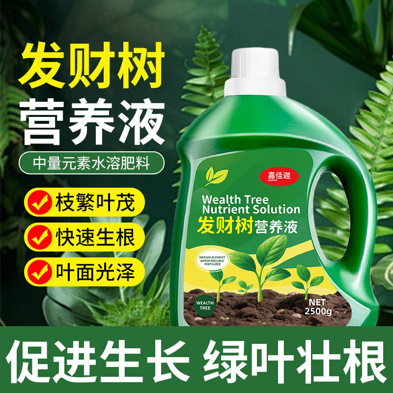 发财树专用营养液肥料枯黄治疗黄叶掉叶烂根黄斑叶斑病绿植复活液