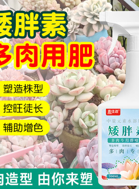 矮胖素多肉专用肥料爆芽素生根增肥增色分裂直喷型营养液优芽素