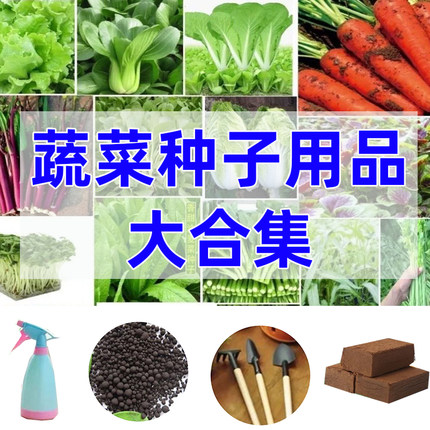 园艺用品大全通用营养土蔬菜种子花盆复合肥喷壶园艺三件套椰砖