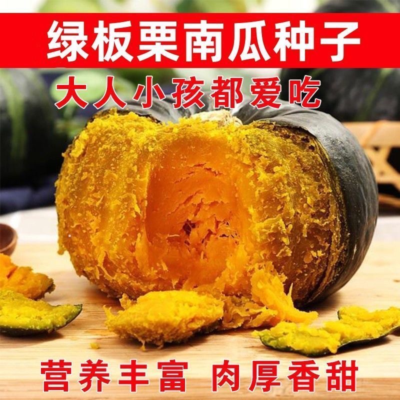绿板栗南瓜种子甜香糯蛋黄香花
