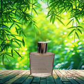 黄礼志同款 香水奥秘花园Soul韩国甜蜜之吻香草男士 试香小样