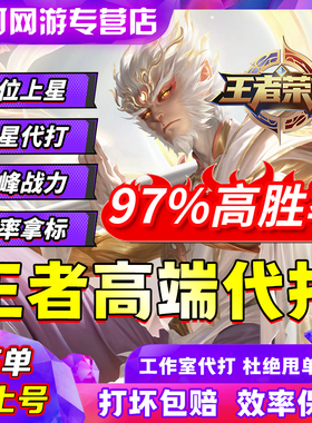 王者荣耀代练代打排位战力巅峰赛省标大国标小国标陪玩带上分车队