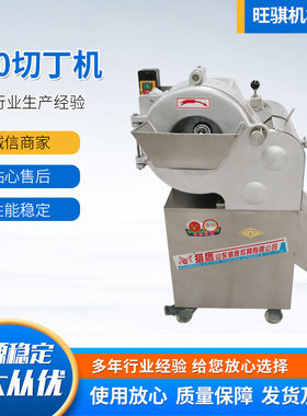 优惠 100型不锈钢大型切丁机切土豆用洋葱萝卜水果商用切丁机