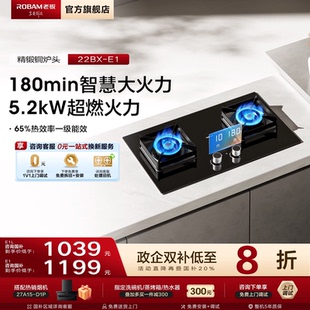 L定时灶具天然气煤气灶大火力家用双灶官方 小灶王 老板燃气灶E1