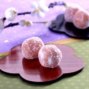 北野梅林 京都梅子点心 采购日起10天赏味 包邮 日本直邮满200