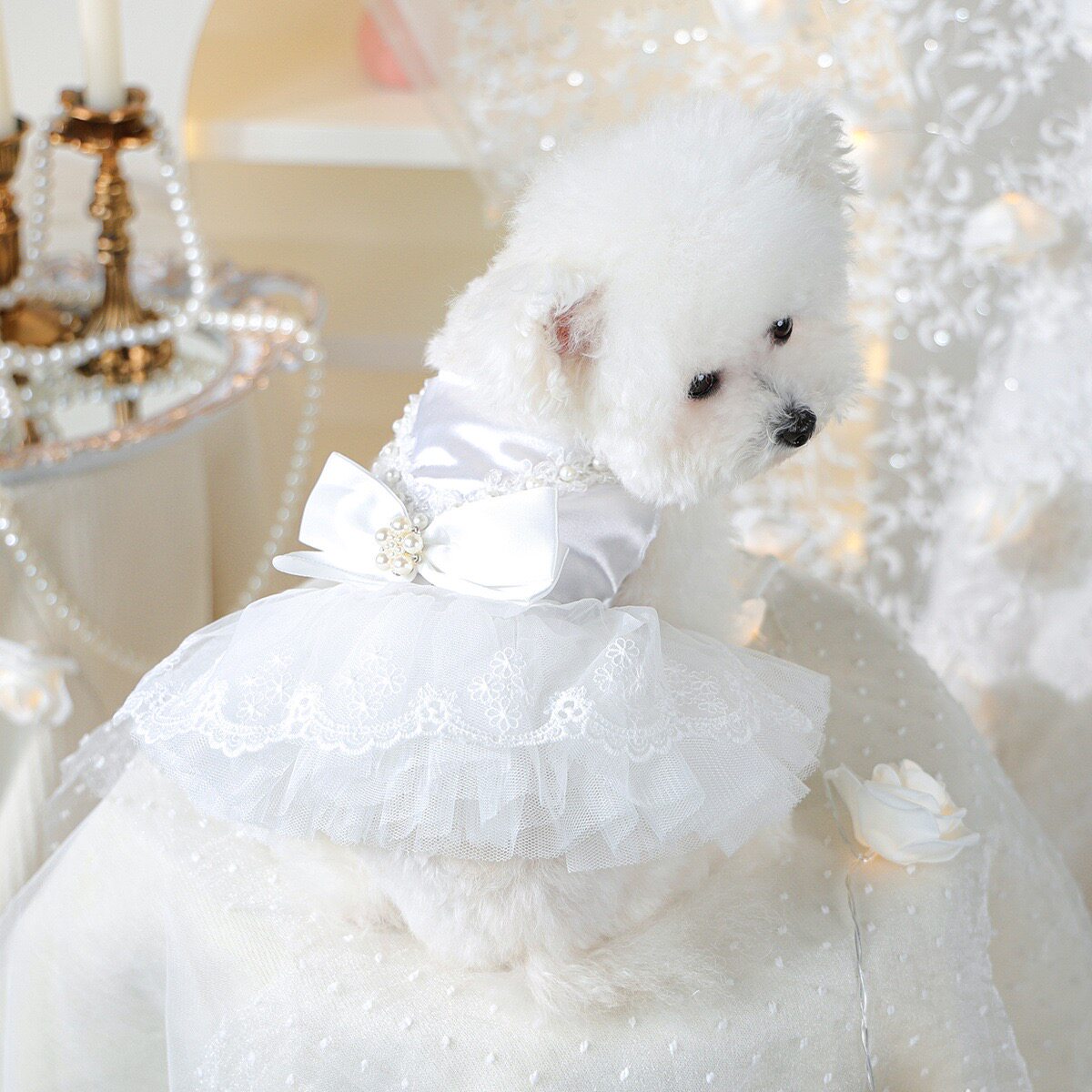 狗狗衣服春夏款猫咪公主蓬蓬裙婚纱礼服陪嫁小型犬泰迪宠物比熊
