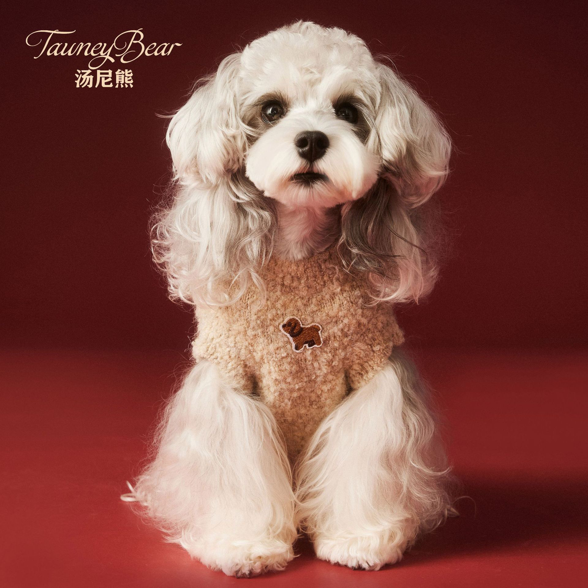 狗狗衣服秋冬装雪纳瑞约克夏泰迪小狗头无袖毛衣背心猫咪小型犬