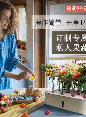 土栽培无设备家庭内蔬菜种植Z202种植箱智能蔬菜种植室机种菜神智