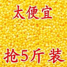 【新店大促】黄小米23新米东北小黄米黄米粥食糯小米粥农家自产