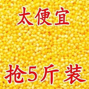 黄小米5斤新米东北小黄米黄米粥食糯小米粥农家自产 新店大促