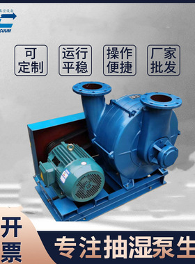 TLZ25-280抽湿真空泵 高压风泵 抽蒸汽专用 穗诚真空
