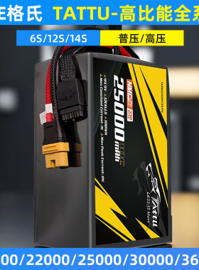 格氏17000 22000 27000 30000 6S12S14S 高比能811半固态锂电池