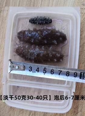 大连淡干散装海货参FYR干孕你妇迷小辽刺参速食发深海底播野生即5