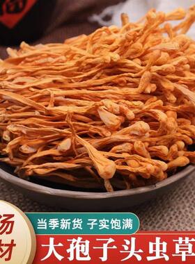 【现新货】虫草花干新汤鲜VQE金蛹北虫草菇货孢子香头农户煲食材