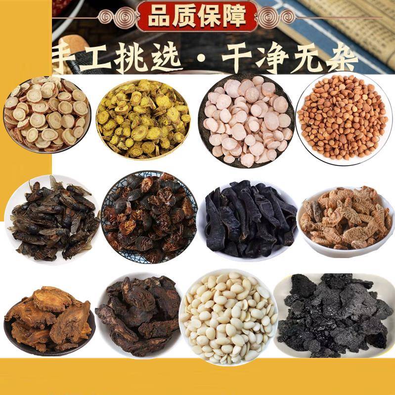 大黄蛰全虫 W当归归四川NTP当道地药材