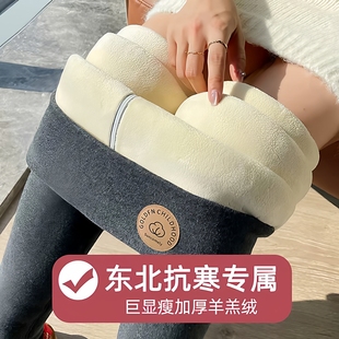 北方特厚800克羊羔绒纯色打底裤女冬加绒加厚外穿大码高腰保暖裤