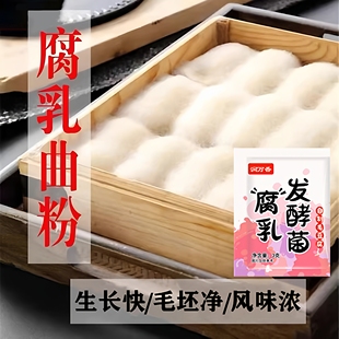 湖南霉豆腐发酵菌腐乳曲长毛臭豆腐家庭自制酵母官方旗舰店曲子粉