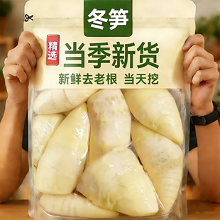 浙江锄头挖新鲜冬笋专用现挖5斤10斤临安春笋江西竹笋清水煮野生