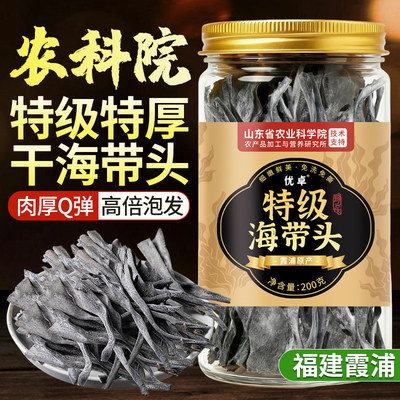 正宗福建霞浦海带头特级