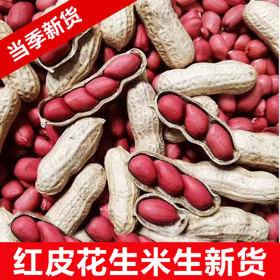 东北特产有机红衣花生米生新货补血农家高产种红皮花生官方旗舰店
